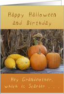 Happy Halloween Birthday for a Grandmother, Pumpkins and Squash card