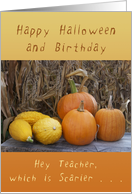 Happy Halloween Birthday for a Teacher, Pumpkins and Squash card