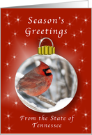 Season’s Greeting Cardinal Ornament from Tennessee card