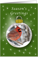 Ornament Season’s Greeting Cardinal card