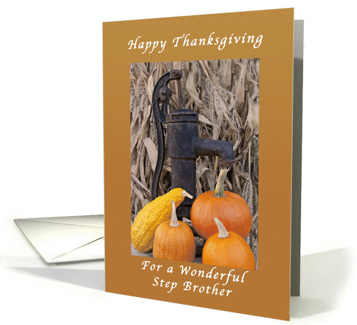 Thanksgiving Day for a Step Brother, Bountiful Supply card (1329538)
