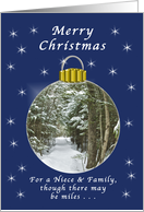 Merry Christmas for a Niece and Family, Far Away, Winter Ornament card