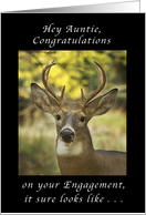 Engagement Congratulations for an Aunt, Big Buck card