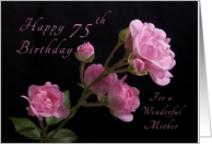 Happy 75th Birthday for a Mother, Pink roses card