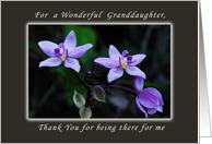 Thank You for a Granddaughter, Wild Purple Orchids card