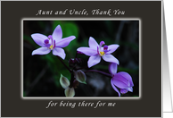 Thank You for an Aunt and Uncle, Wild Purple Orchids card