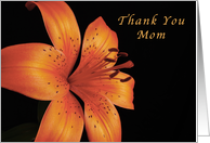 Thank You Mom, Orange Lily card