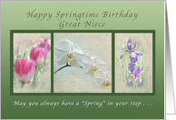 Happy Springtime Birthday for a Great Niece, Flower Collection card