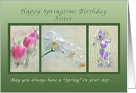 Happy Springtime Birthday for a Sister, Flower Collection card