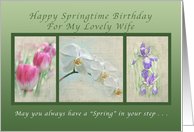 Happy Springtime Birthday for a Wife, Flower Collection card