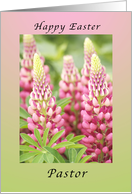 Happy Easter Pastor, Pink Lupine card