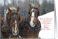 Merry Christmas Sleigh Ride card