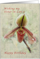 Happy Birthday Sister-in-Law, Vintage, Lady Slipper card