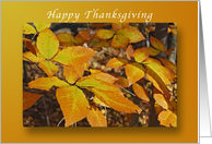 Happy Thanksgiving, Beech Leaves, our Home to Yours card