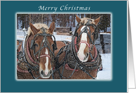 Merry Christmas, Draft Horses Winter Scene card
