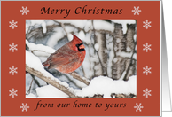 Merry Christmas Male Cardinal Our Home to yours, pencil, snowflakes card