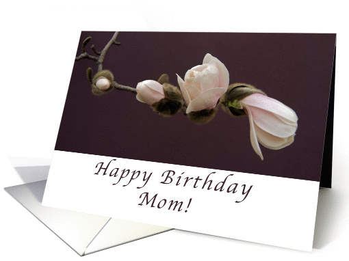Happy Birthday Mom, Magnolia Blossoms card (989685)
