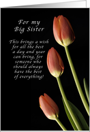 For my Big Sister, Happy Birthday wishes, Tulips card