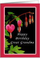 Happy Birthday, Great Grandma, Red Bleeding Heart Flowers card