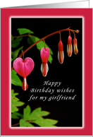 Happy Birthday, Girlfriend, Red Bleeding Heart Flowers card