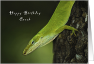 Happy Birthday Coach, Gecko, Green Anole, lizard card