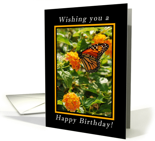 Happy Birthday Wishes, Monarch Butterfly on Milkweed Blossoms card