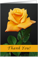 Thank you orange-Yellow Rose card