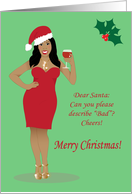 Merry Christmas - Funny Dear Santa Card