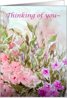 Thinking of You Pink Impatiens Flowers Watercolor Painting card