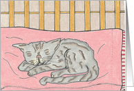 Bedtime for grey kitten on pink pillow card