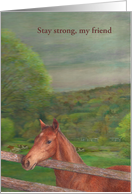 Pet Cancer Encouragement Illustrated Horse card