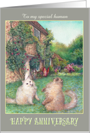 Happy Anniversary from Cats in garden card
