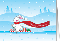 Christmas - bunny skiing card