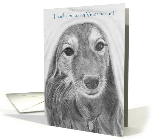 Thank you to my Veterinarian--Dog under blanket card (1151188)