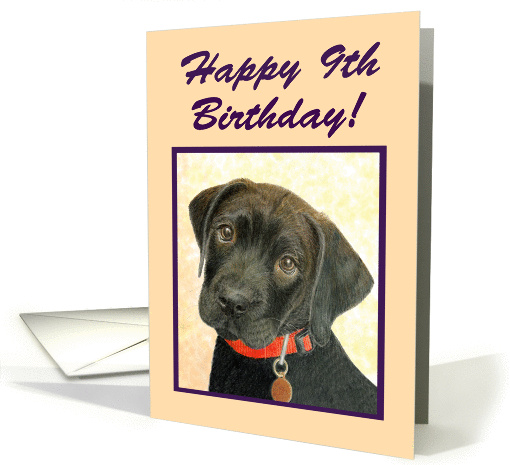 Happy 9th Birthday Special Girl--Black Labrador Retriever Puppy card