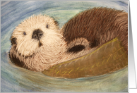 Endangered Species--Sea Otter Blank Note Card