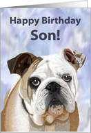 Happy Birthday Son!--Adorable English Bulldog Puppy card