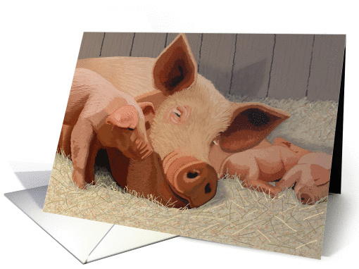Mother pig and piglets on straw bed--Blank note card (1315766)
