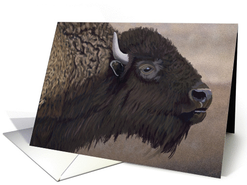 Magnificent North American Bison--Blank note card (1315772)