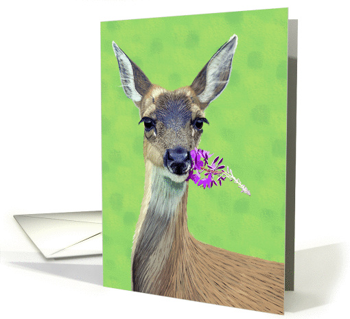 Black-Tailed Doe Eating Flowers--Blank Note card (1320944)
