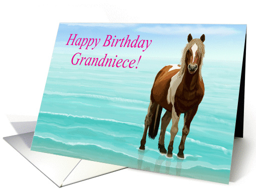Chincoteague Pony on the Beach--Happy Birthday Grandniece card