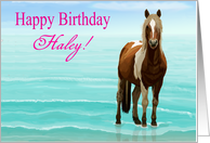 Chincoteague Pony on the Beach--Happy Birthday Custom Name card