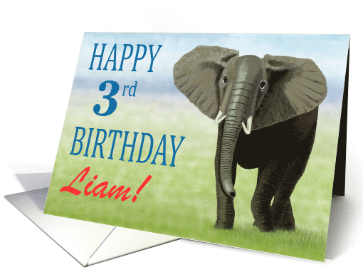 Curious Elephant--Happy 3rd Birthday Custom Name Boy card (1406208)