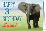 Curious Elephant--Happy 3rd Birthday Custom Name Boy card