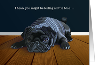 Black Pug-Feeling Blue Get Together/here for you card