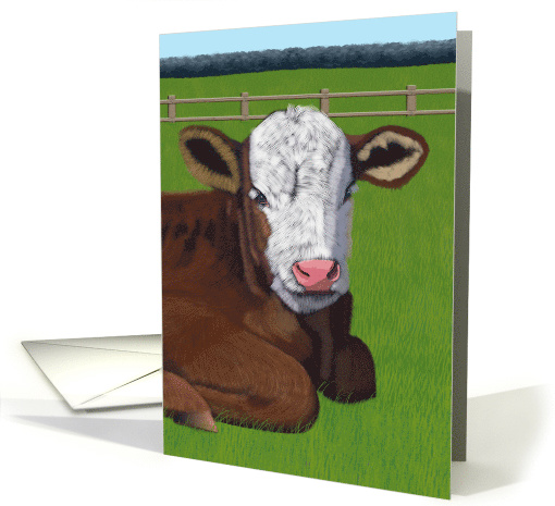 Brown and White Calf--Blank Note card (1511114)
