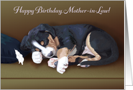 Naughty Puppy Sleeping--Birthday for Mother-in-Law card