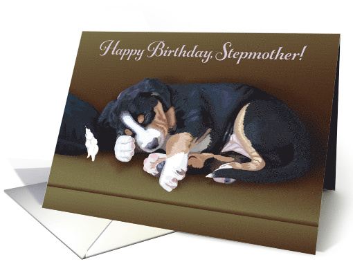 Naughty Puppy Sleeping--Birthday for Stepmother card (1514914)