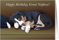 Naughty Puppy Sleeping--Birthday for Great Nephew card