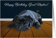 Black Pug Waiting for Playtime--Great Nephew Birthday card
